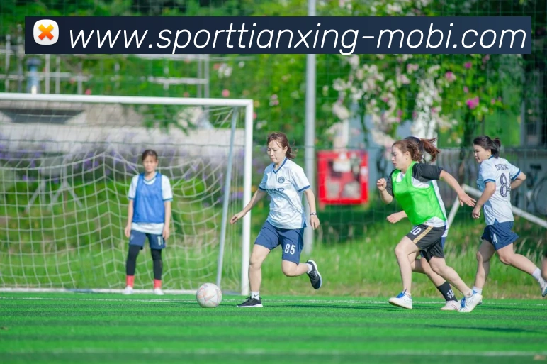 多媒体互动体验